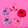 Barbie Gift Box with 2 Crystal Puff Hair Bands, 1 Hat, 5 Scrunchies & 2 Hair Pins